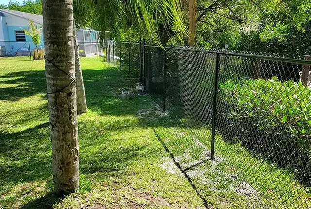 Black chain link fence along a landscaped residential yard
